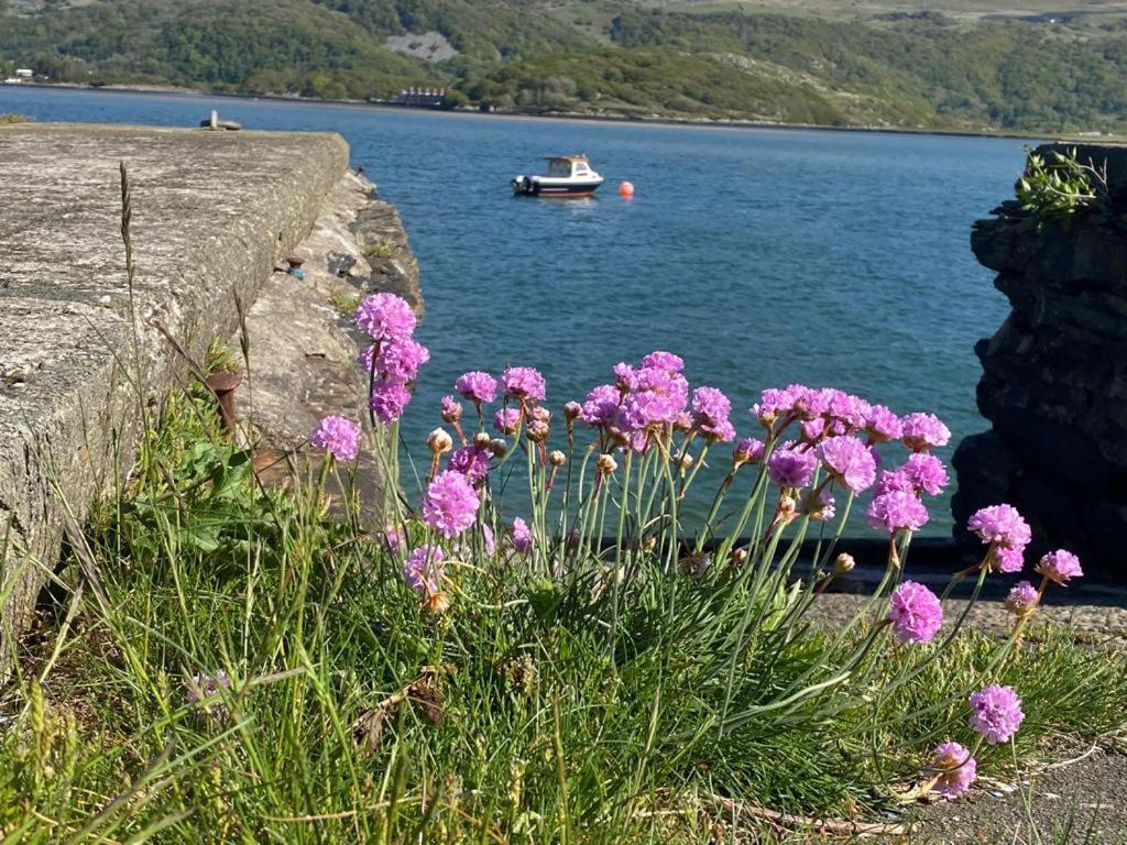 No6 Bed & Breakfast Barmouth Dış mekan fotoğraf